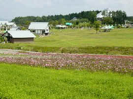 4DSC01255.jpg (26784 oCg)